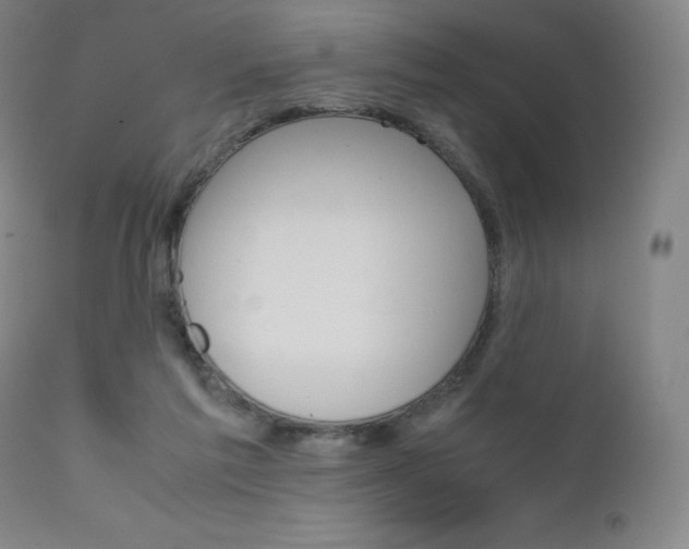 X0000111630213200907171137