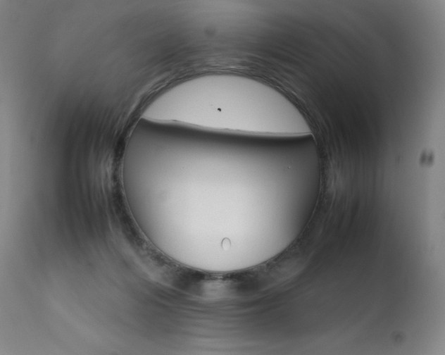 X0000111630216200907171137