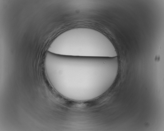 X0000111630217200907171137