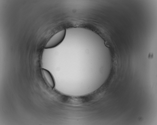 X0000111630221200907171137