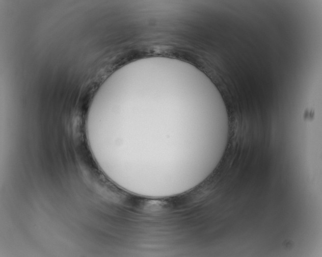 X0000111630222200907171137