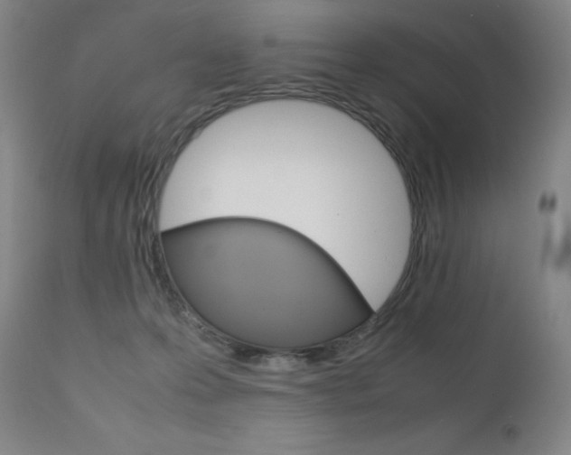 X0000111630223200907171137