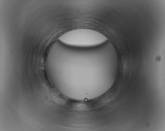 X0000111630224200907171137