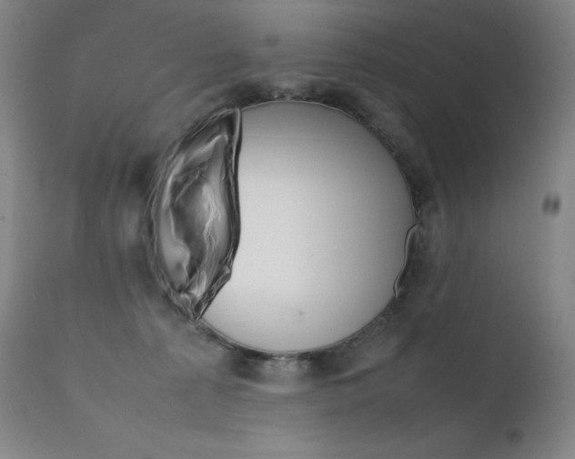X0000111630225200907171137