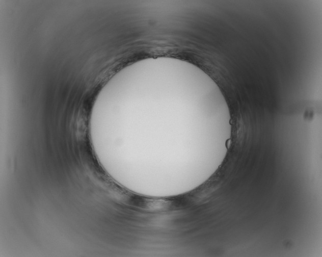 X0000111630226200907171137