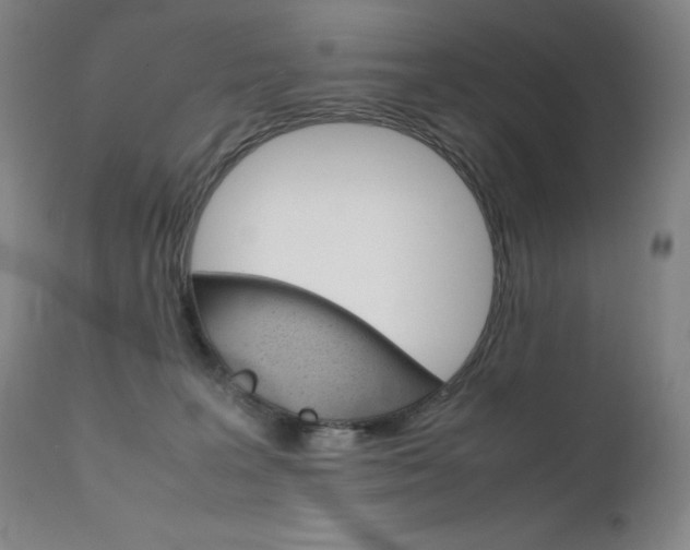 X0000111630227200907171137