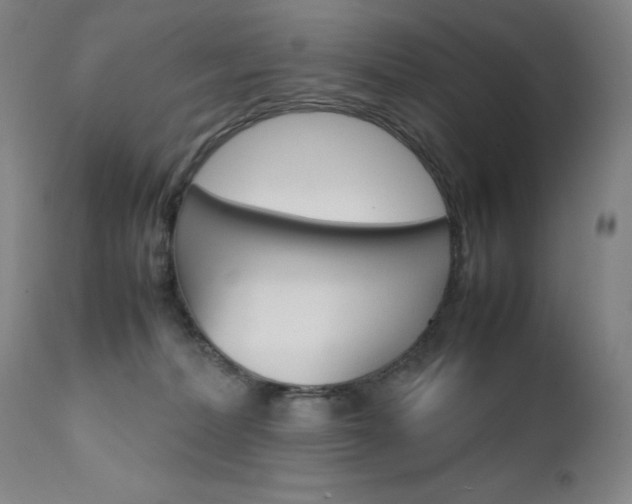 X0000111630228200907171137