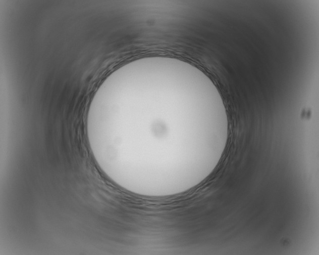 X0000111630229200907171137