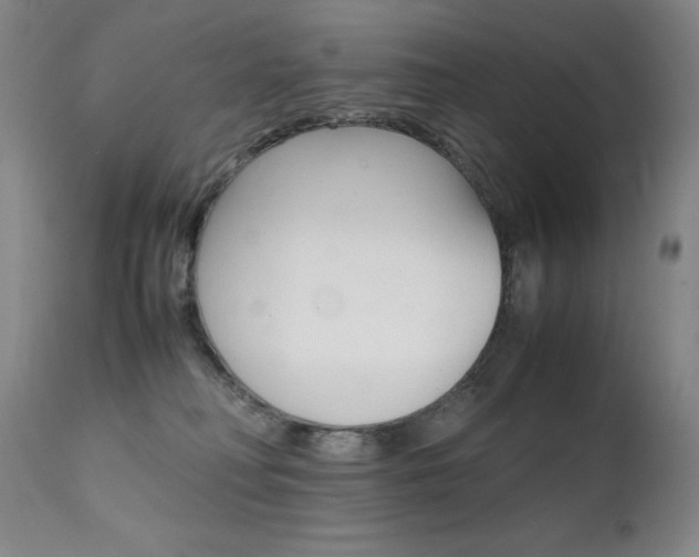 X0000111630230200907171137