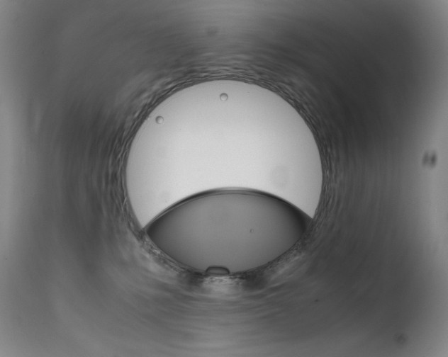 X0000111630231200907171137