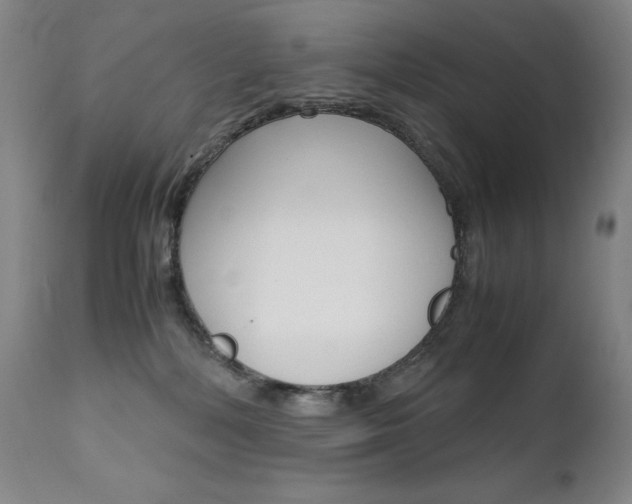 X0000111630232200907171137