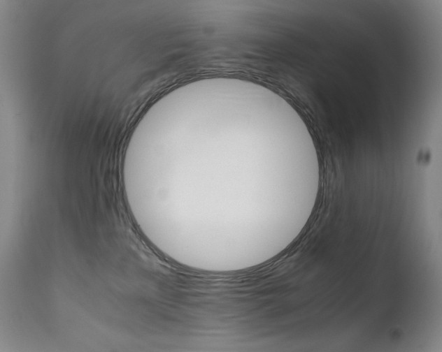X0000111630233200907171137