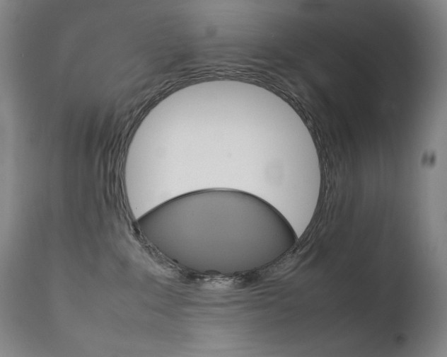 X0000111630235200907171137