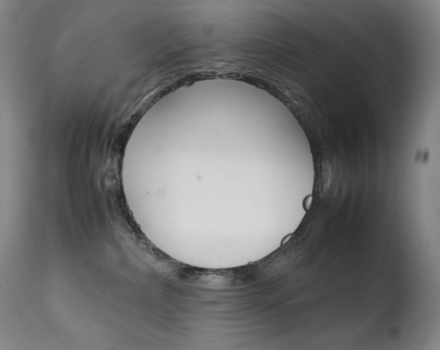 X0000111630236200907171137