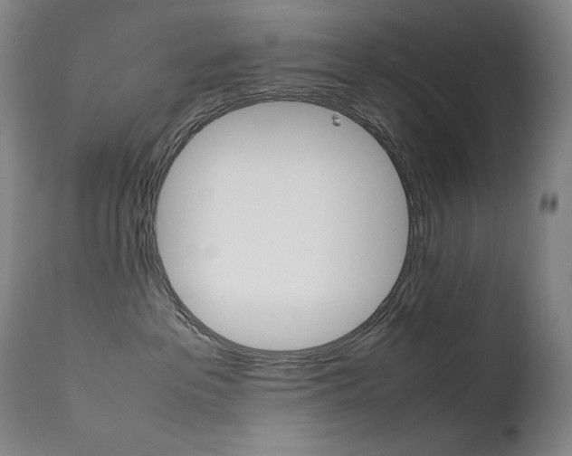 X0000111630237200907171137