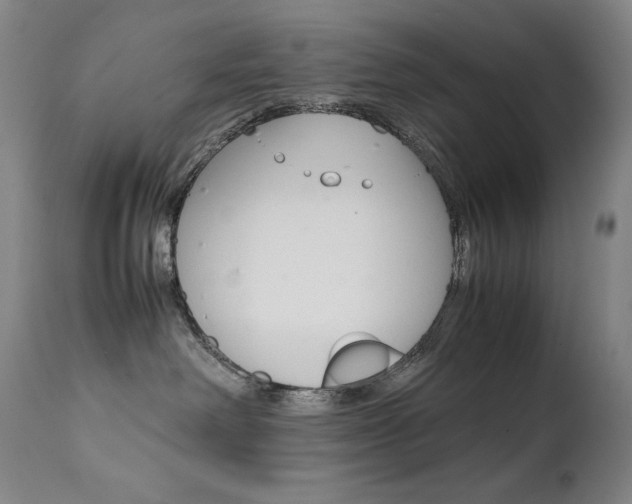 X0000111630238200907171137