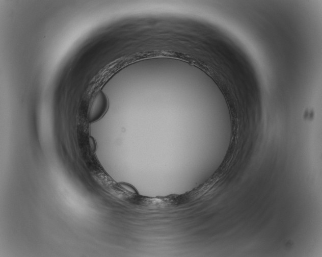 X0000111630239200907171137