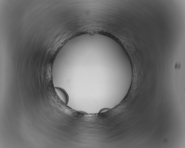 X0000111630240200907171137