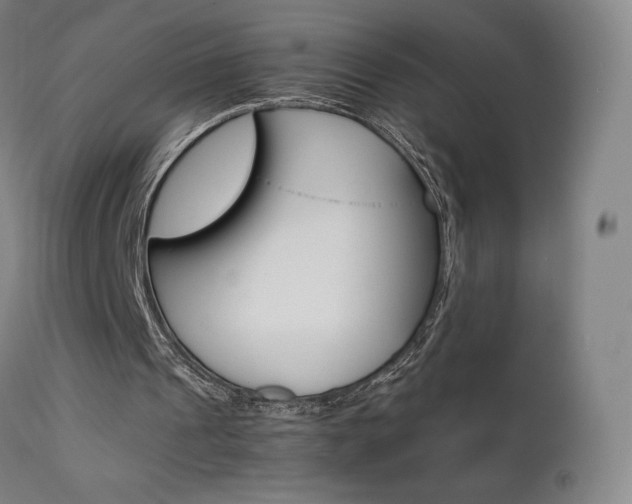 X0000111630241200907171136
