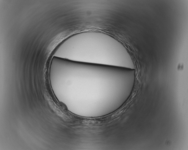 X0000111630242200907171136