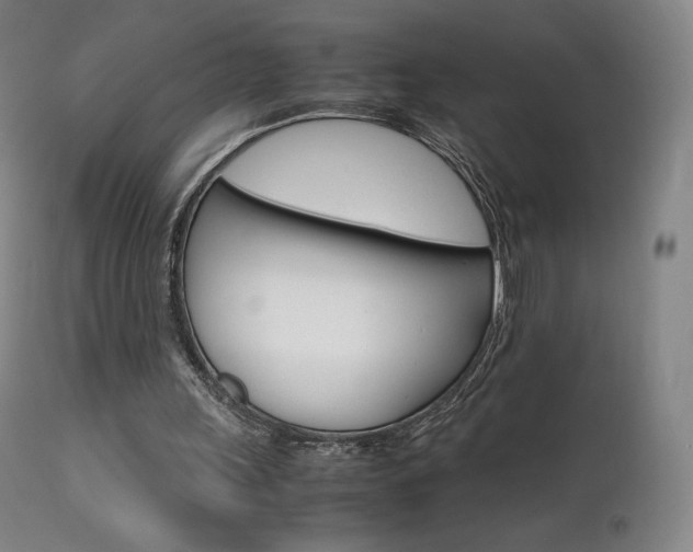 X0000111630243200907171136