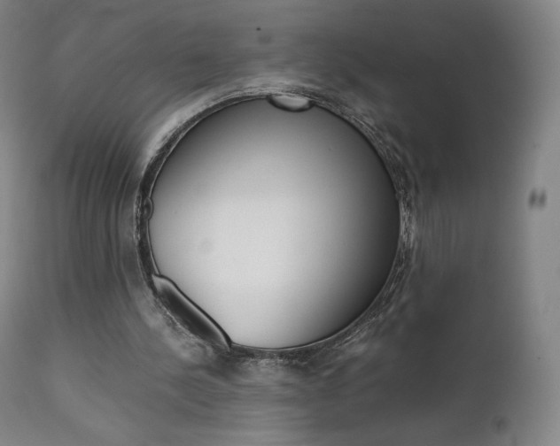 X0000111630244200907171136