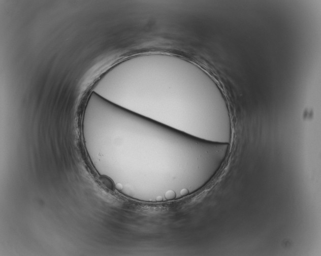 X0000111630245200907171136