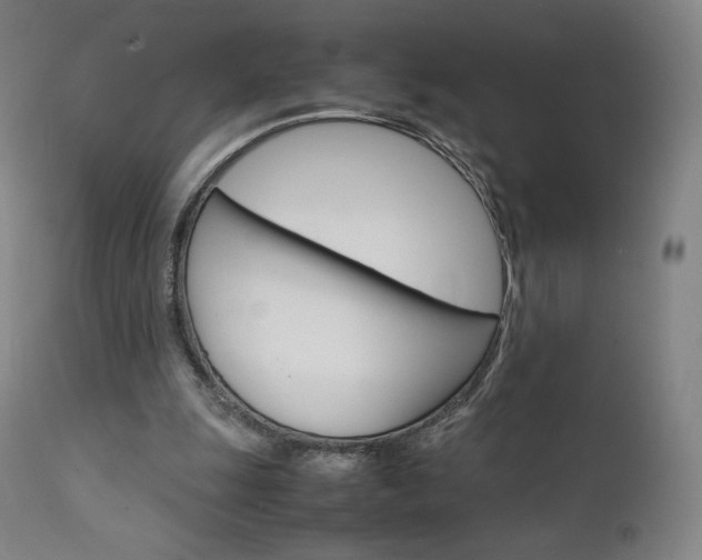 X0000111630247200907171136
