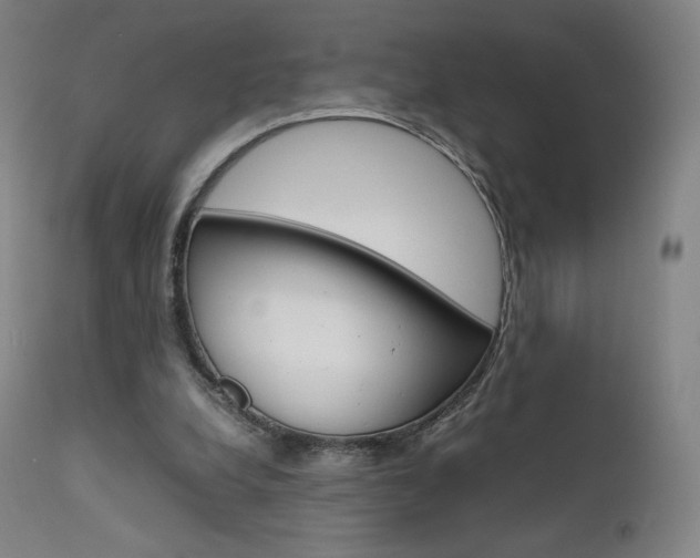 X0000111630248200907171136