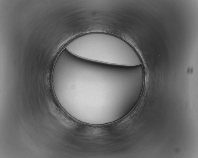 X0000111630249200907171136