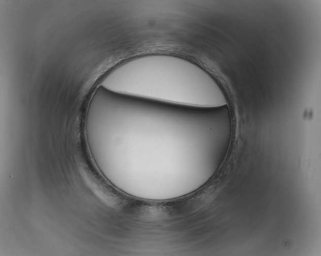 X0000111630250200907171136