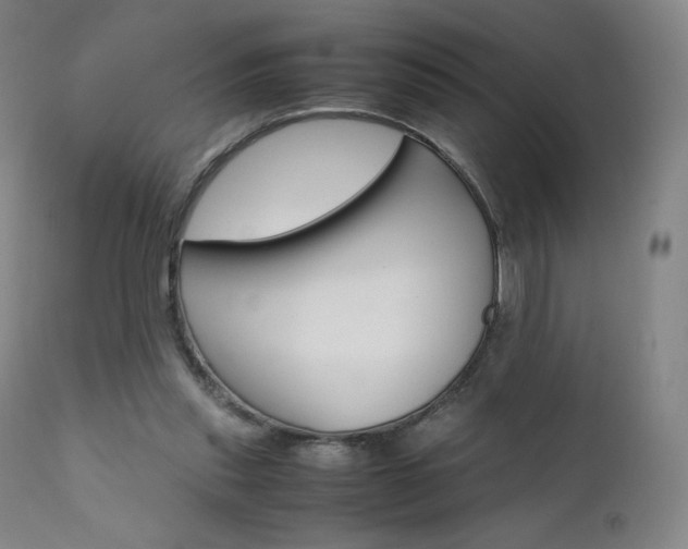 X0000111630253200907171136