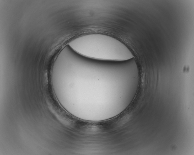 X0000111630254200907171136