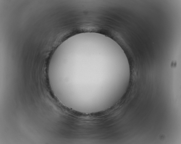 X0000111630259200907171136