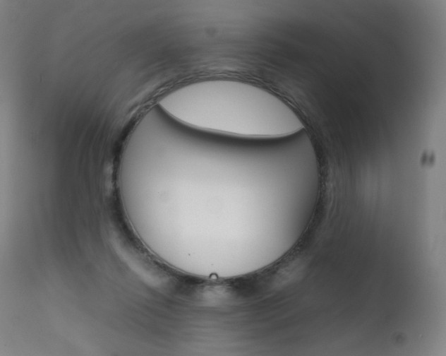 X0000111630262200907171136