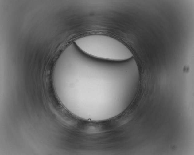 X0000111630263200907171136