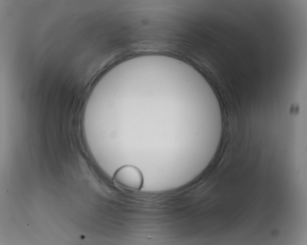 X0000111630264200907171136