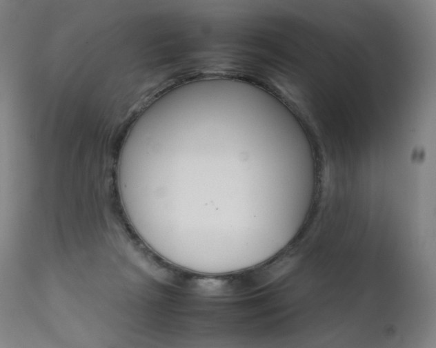 X0000111630265200907171136