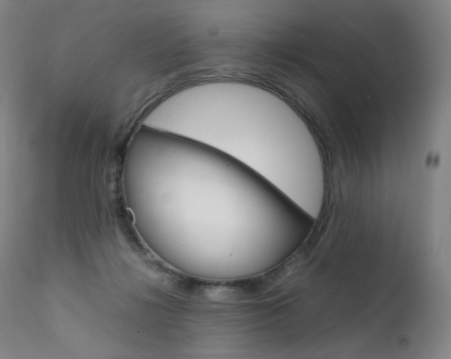 X0000111630268200907171136