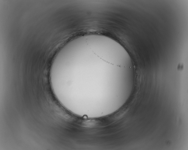 X0000111630269200907171136