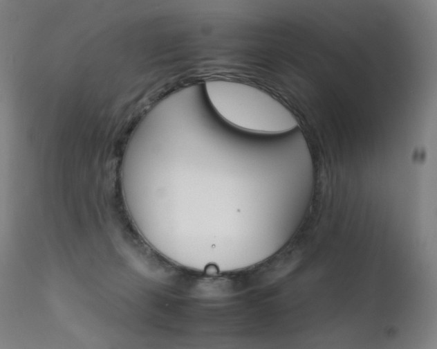 X0000111630271200907171136