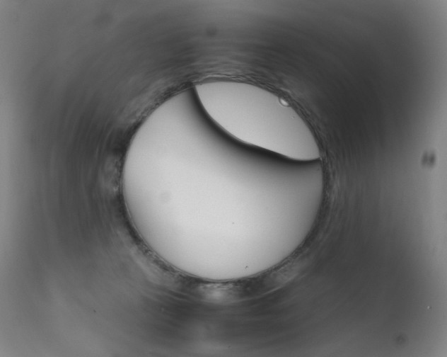 X0000111630273200907171136