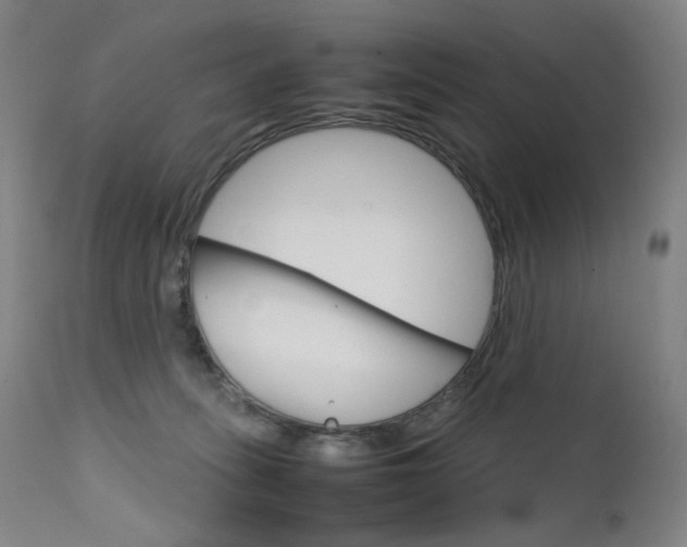 X0000111630275200907171136