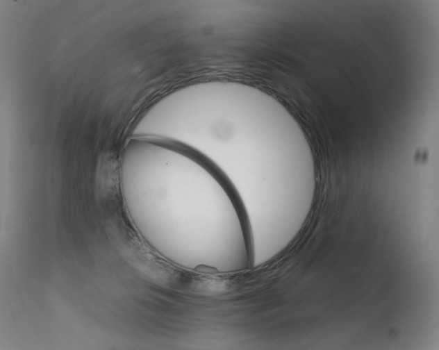 X0000111630276200907171136
