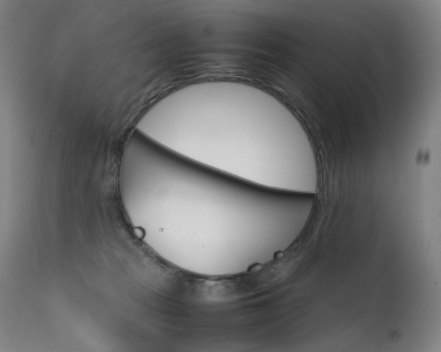 X0000111630277200907171136