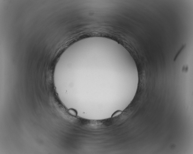 X0000111630278200907171136
