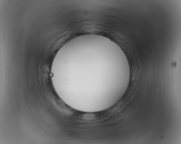 X0000111630279200907171136