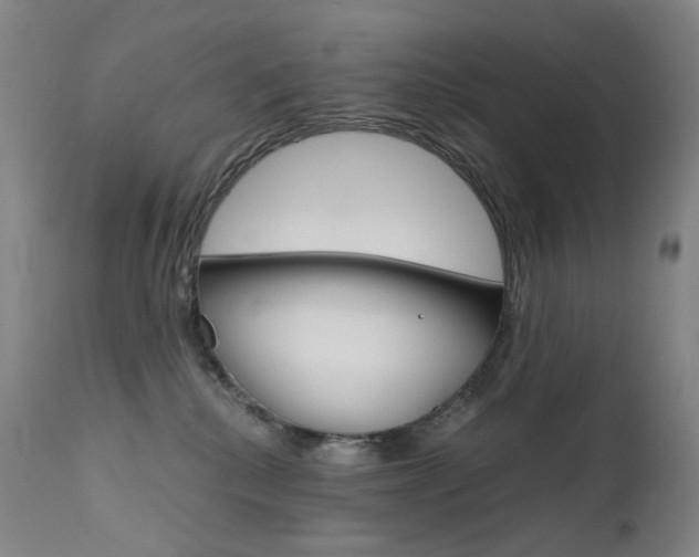 X0000111630280200907171136