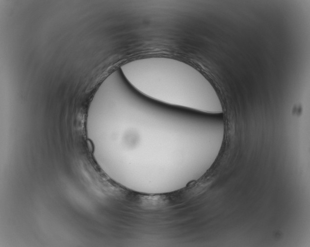 X0000111630281200907171136
