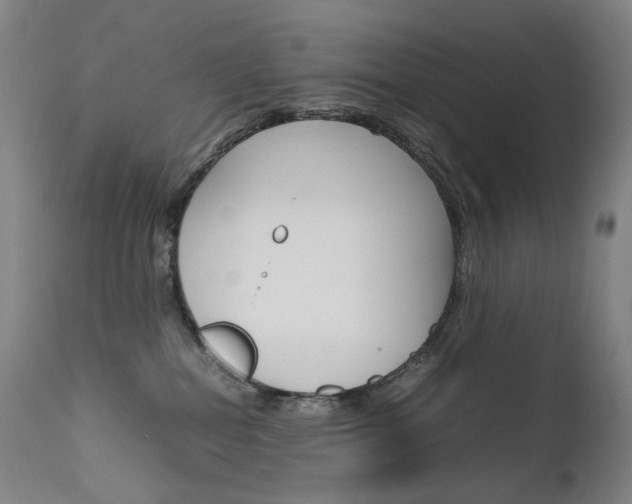 X0000111630282200907171136